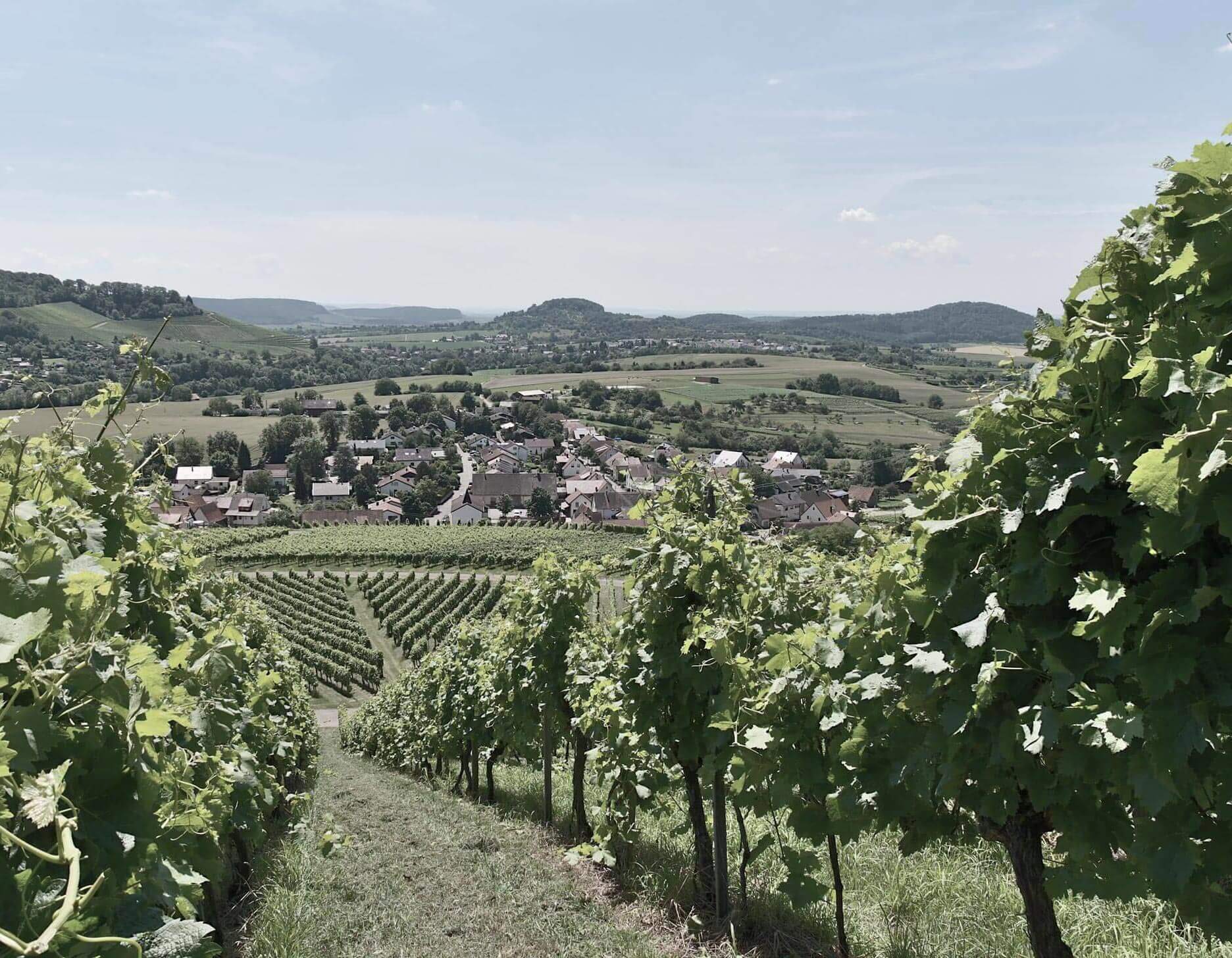 Zona ecologică Ilsfeld